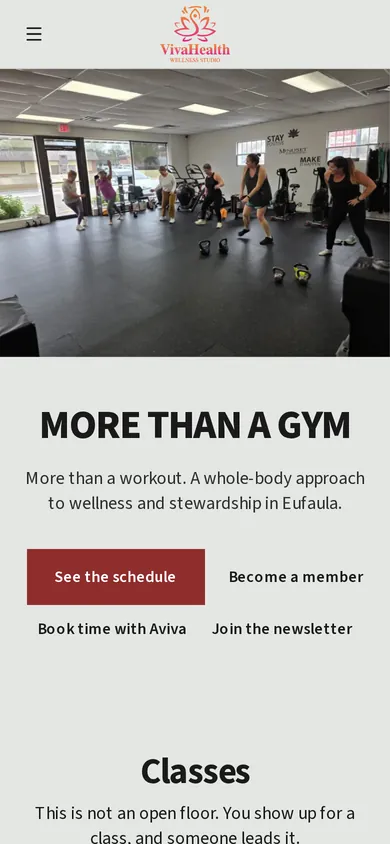 Viva Health Studio website, phone